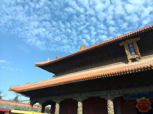 山东力量，砥砺前行，自信绽放的山东新篇章